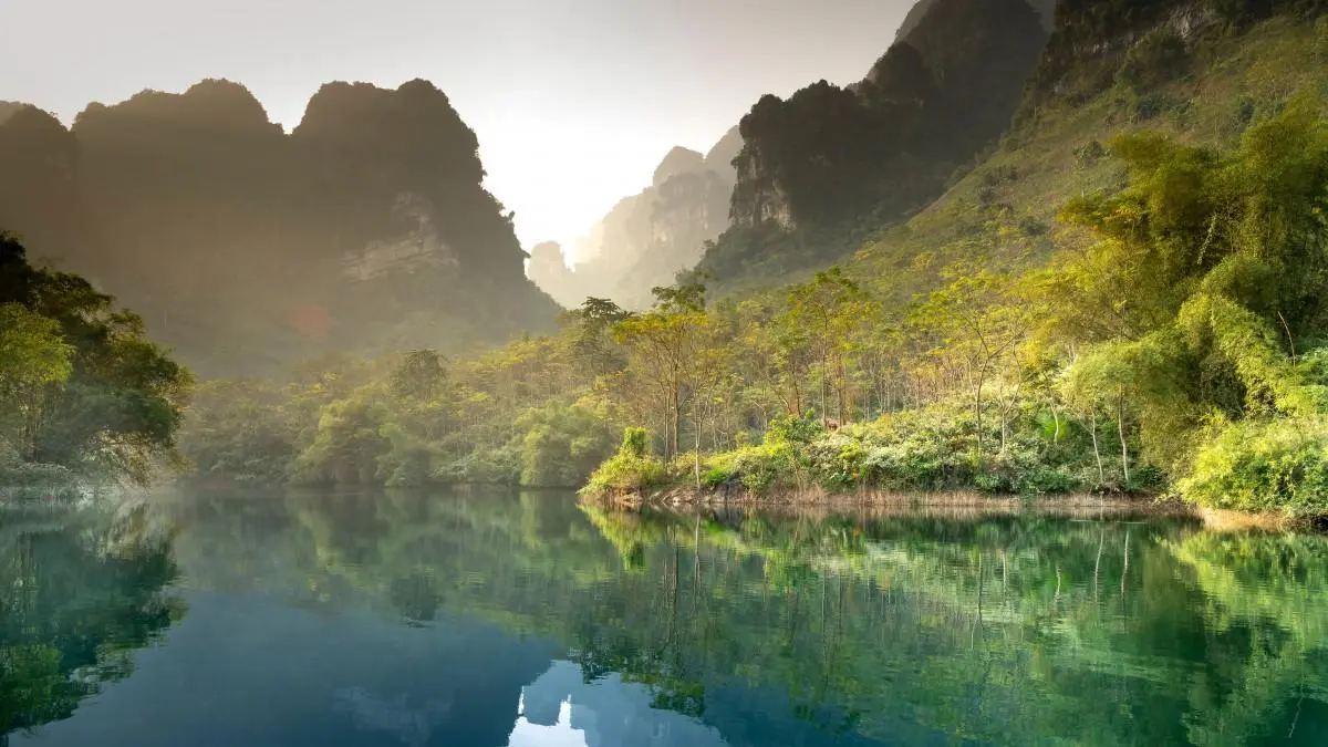 智能系统独特先进